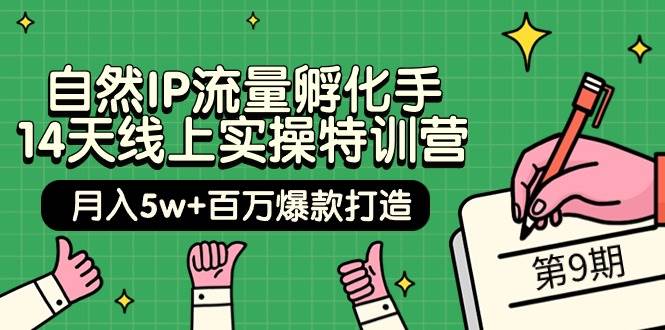 自然IP流量孵化手 14天线上实操特训营【第9期】月入5w+百万爆款打造 (74节)-万图副业网