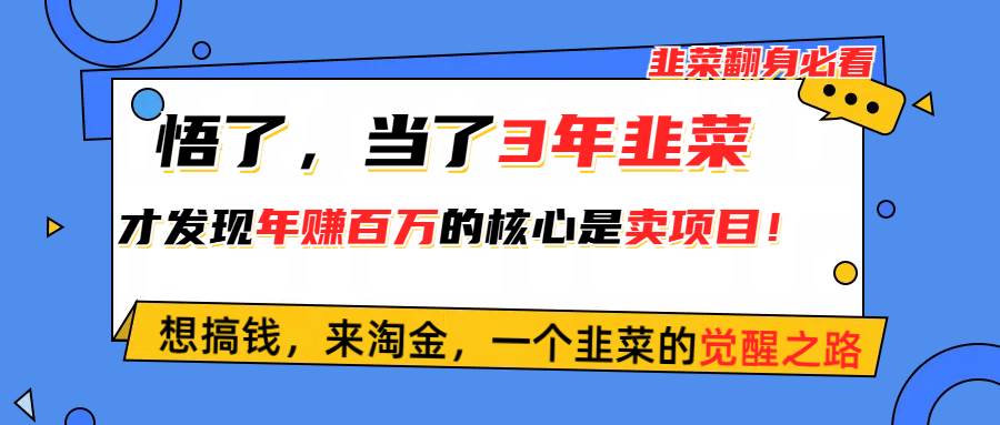 悟了，当了3年韭菜，才发现网赚圈年赚100万的核心是卖项目，含泪分享！-万图副业网