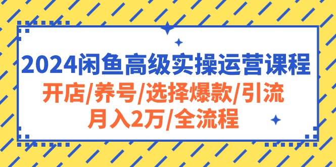 2024闲鱼高级实操运营课程：开店/养号/选择爆款/引流/月入2万/全流程-万图副业网