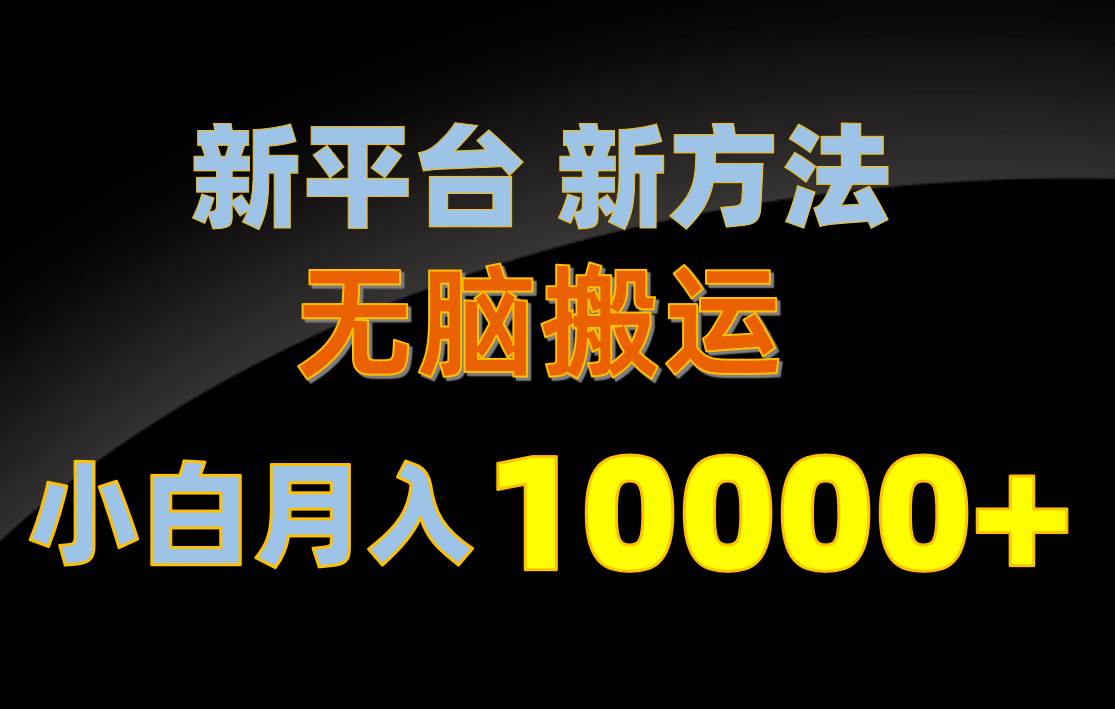 新平台新方法，无脑搬运，月赚10000+，小白轻松上手不动脑-万图副业网