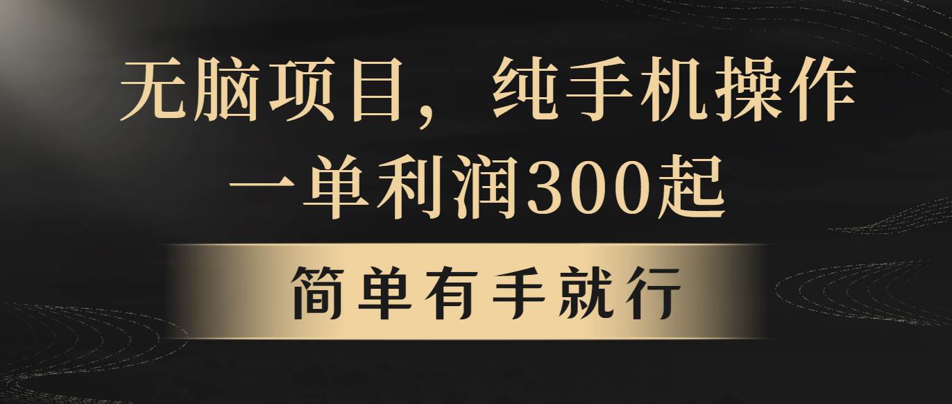 无脑项目，一单几百块，轻松月入5w+，看完就能直接操作-万图副业网