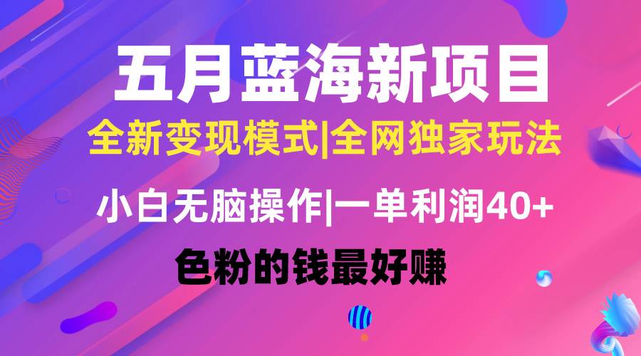 五月蓝海项目全新玩法，小白无脑操作，一天几分钟，矩阵操作，月入4万+-万图副业网