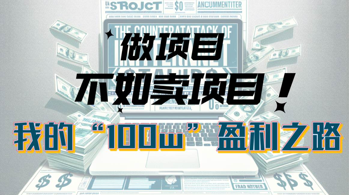 为什么做项目不如卖项目？我的100W+盈利之路-万图副业网