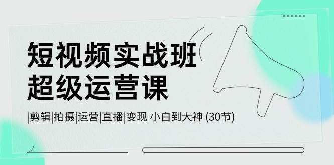 短视频实战班-超级运营课，|剪辑|拍摄|运营|直播|变现 小白到大神 (30节)-万图副业网