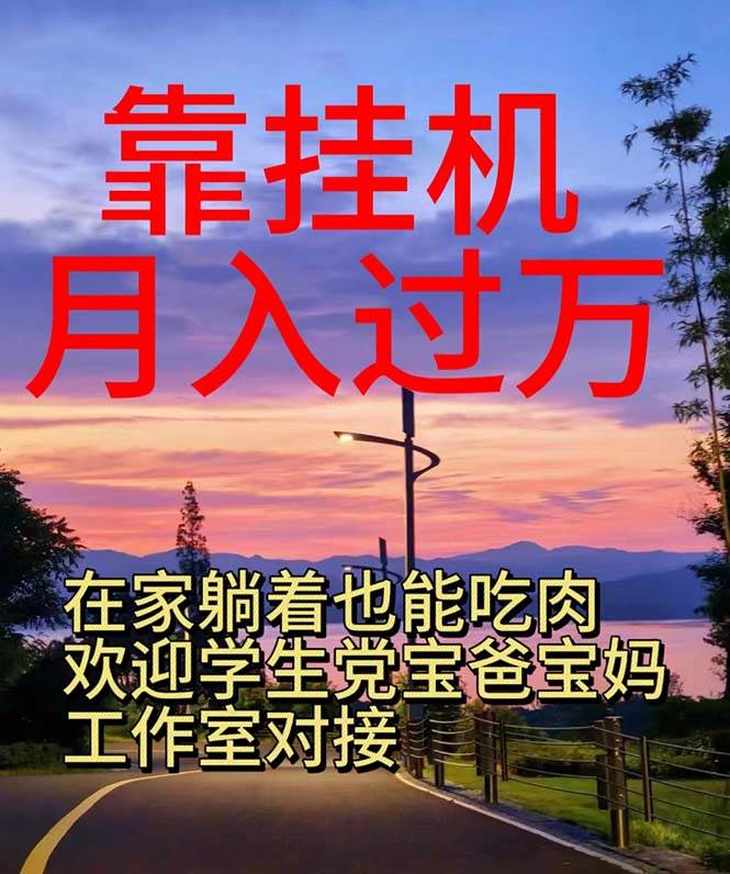 靠挂机，日入1000+，躺着也能吃肉，电脑手机都可挂-万图副业网