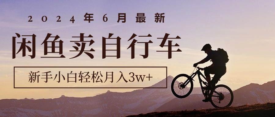 2024年6月最新闲鱼卖自行车，新手小白轻松月入3w+项目-万图副业网