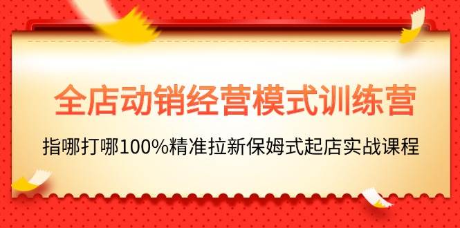 全店动销-经营模式训练营，指哪打哪100%精准拉新保姆式起店实战课程-万图副业网