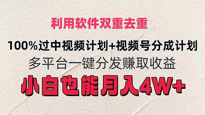 利用软件双重去重，100%过中视频+视频号分成计划小白也可以月入4W+-万图副业网