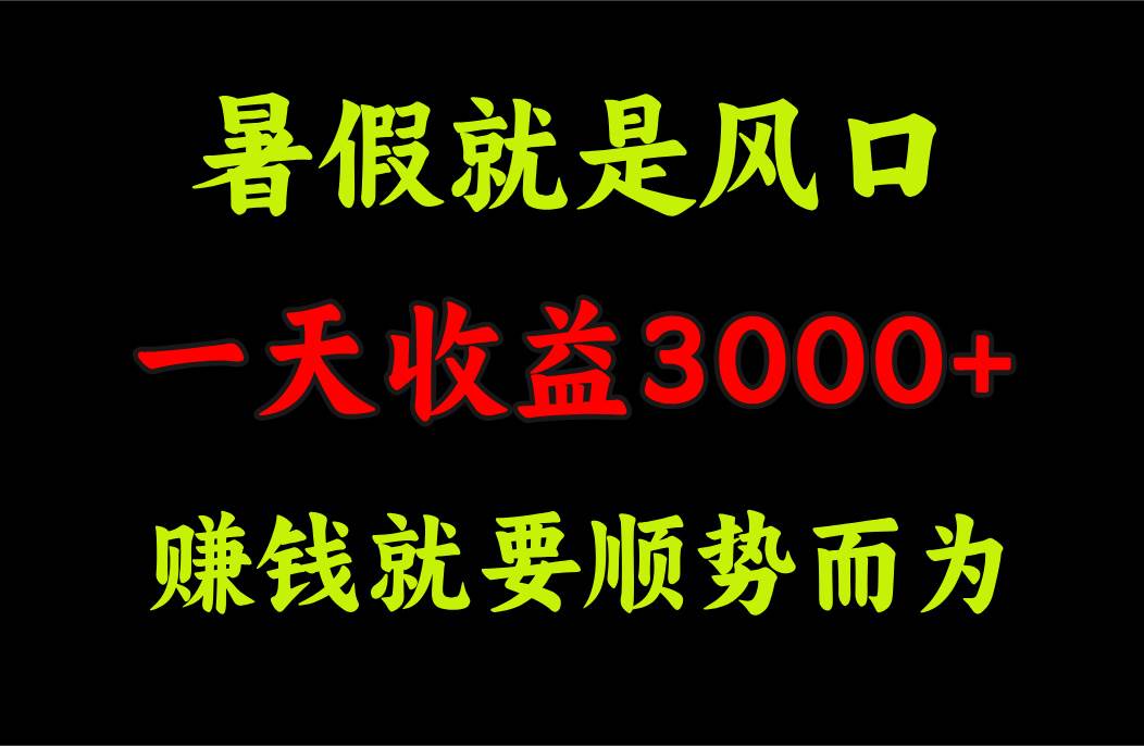 一天收益3000+ 赚钱就是顺势而为，暑假就是风口-万图副业网