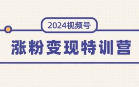 2024视频号-涨粉变现特训营:一站式打造稳定视频号涨粉变现模式(10节)-万图副业网