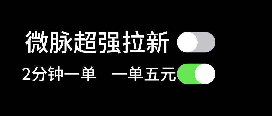 微脉超强拉新， 两分钟1单， 一单利润5块，适合小白-万图副业网