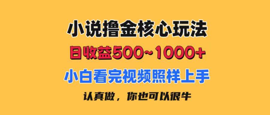 小说撸金核心玩法，日收益500-1000+，小白看完照样上手，0成本有手就行-万图副业网