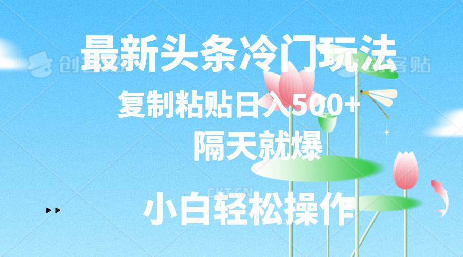 最新头条冷门玩法，隔天就爆，复制粘贴日入500+-万图副业网