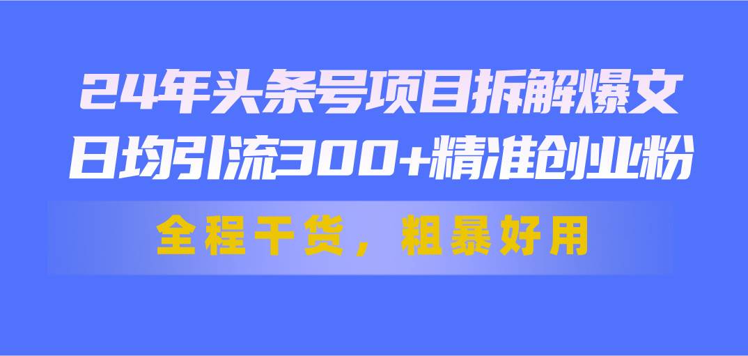 24年头条号项目拆解爆文，日均引流300+精准创业粉，全程干货，粗暴好用-万图副业网