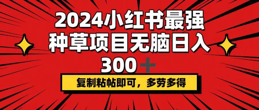 2024小红书最强种草项目，无脑日入300+，复制粘帖即可，多劳多得-万图副业网