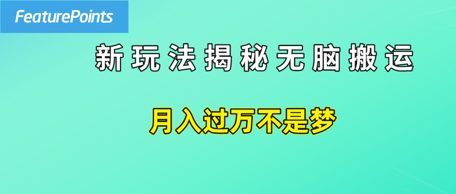 简单操作，每天50美元收入，搬运就是赚钱的秘诀！-万图副业网