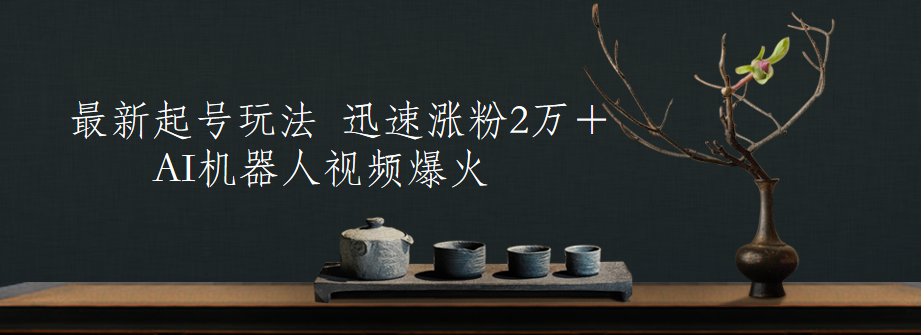 最新起号玩法，AI机器人视频爆火，迅速涨粉2万＋-万图副业网