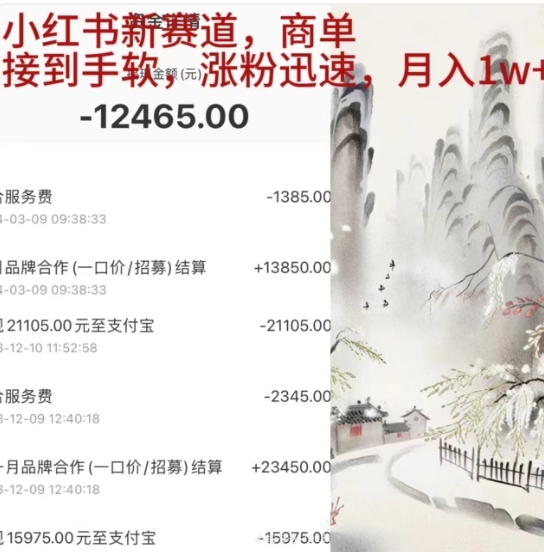 小红书新赛道，商单接到手软，涨粉迅速，一个月1w+-万图副业网