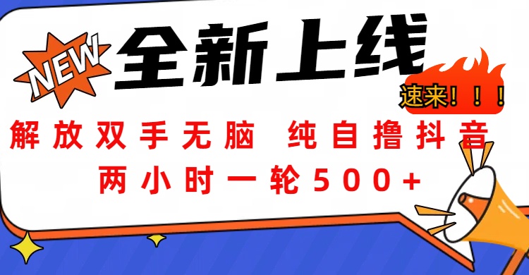 解放双手无脑 纯自撸抖音 两小时一轮500+-万图副业网