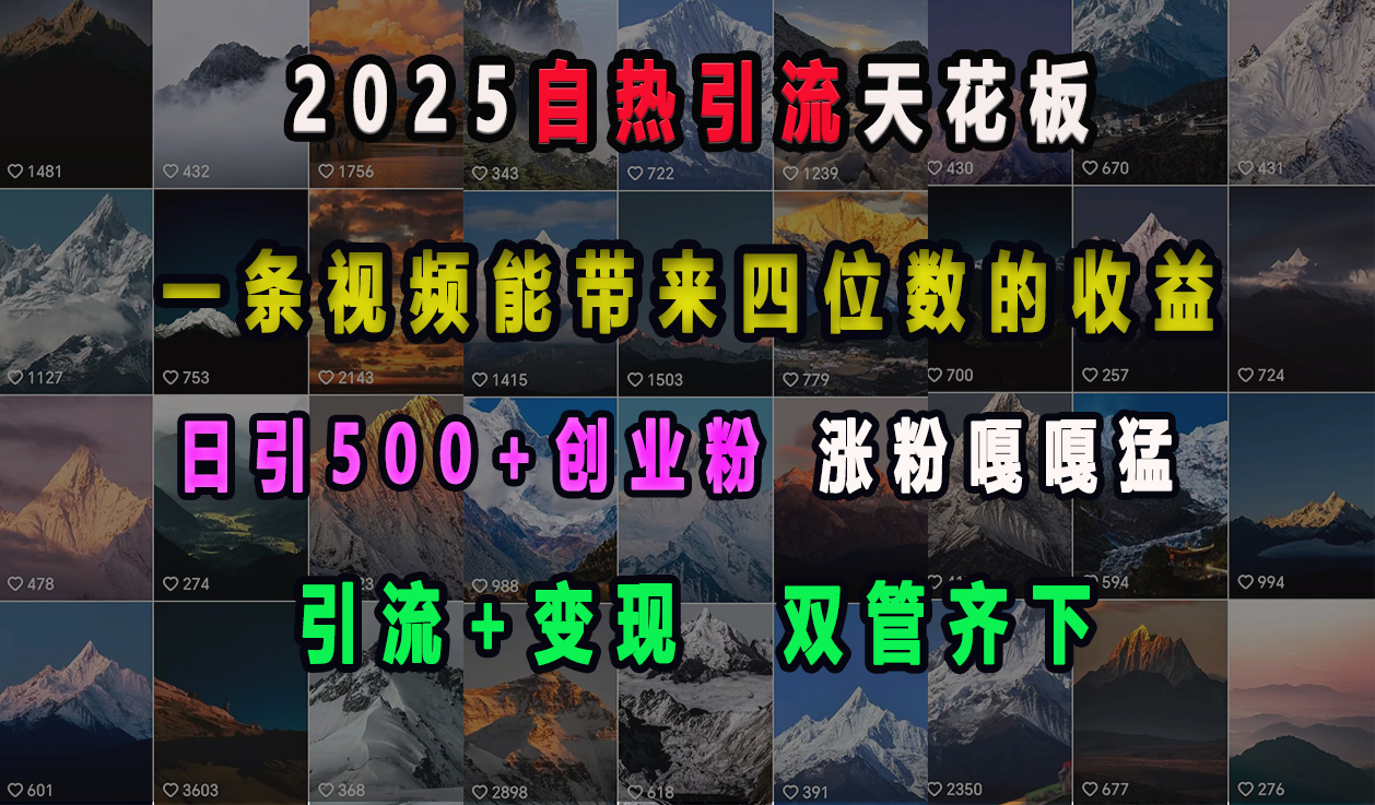 2025自热引流天花板，一条视频能带来四位数的收益，引流+变现双管齐下，日引500+创业粉，涨粉嘎嘎猛-万图副业网