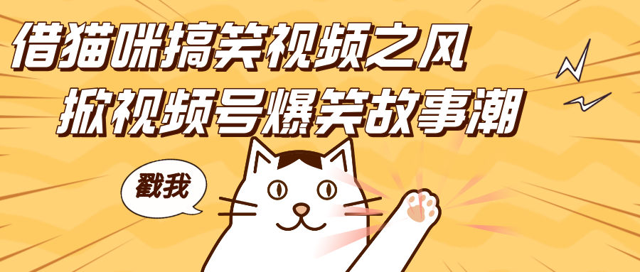 借猫咪搞笑视频之风，掀视频号爆笑故事潮，轻松日赚四位数，开启无门槛赚钱新体验！-万图副业网
