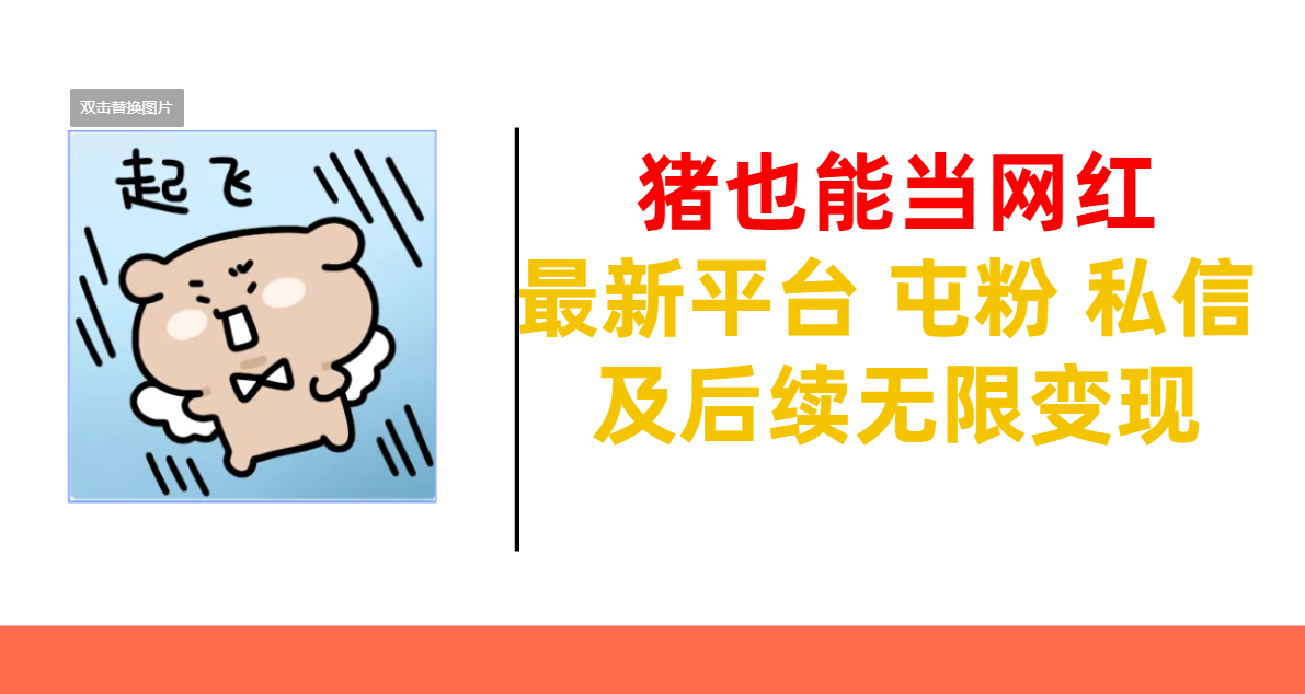 猪也能当网红-最新平台 屯粉 交流 私信 及后续无限变现-万图副业网