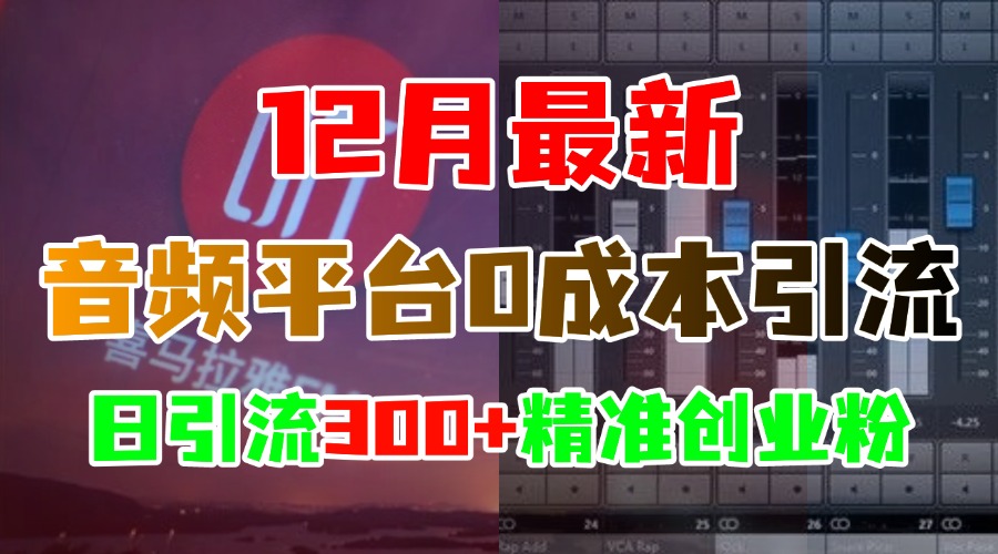 12月最新：音频平台0成本引流，日引300+精准创业粉-万图副业网