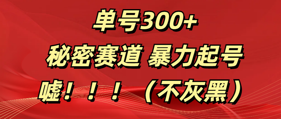 单号300+  秘密赛道 暴力起号  （不灰黑）-万图副业网