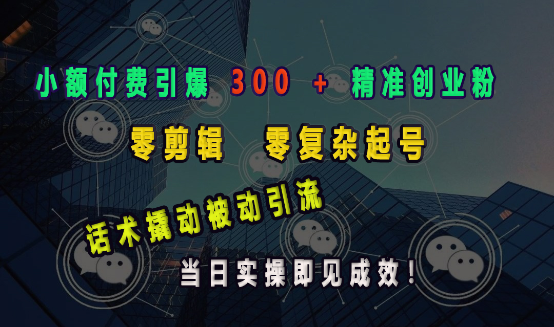 小额付费引爆 300 + 精准创业粉，零剪辑、零复杂起号，话术撬动被动引流，当日实操即见成效！-万图副业网