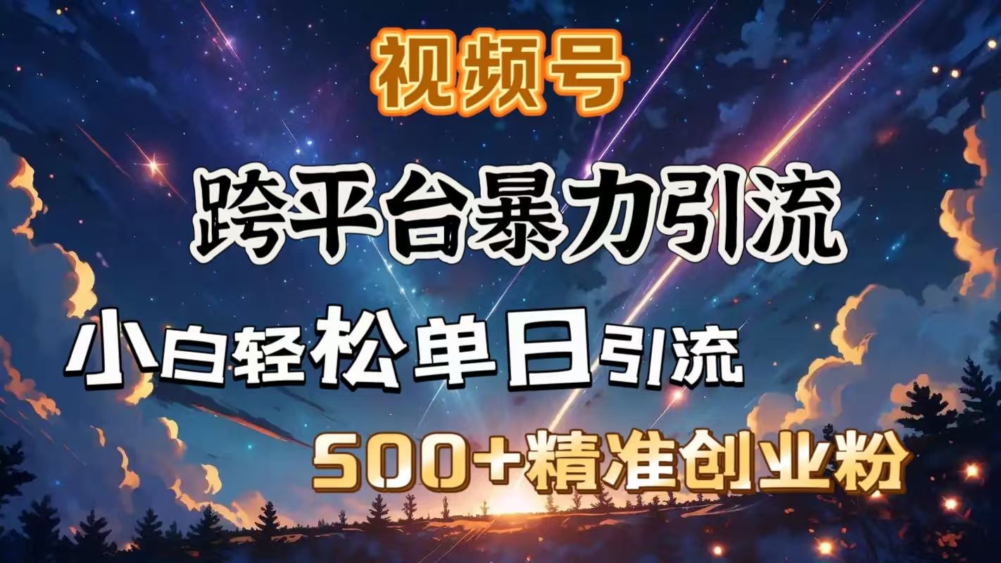 视频号跨平台暴力引流，小白轻松单日引流500＋精准创业粉-万图副业网