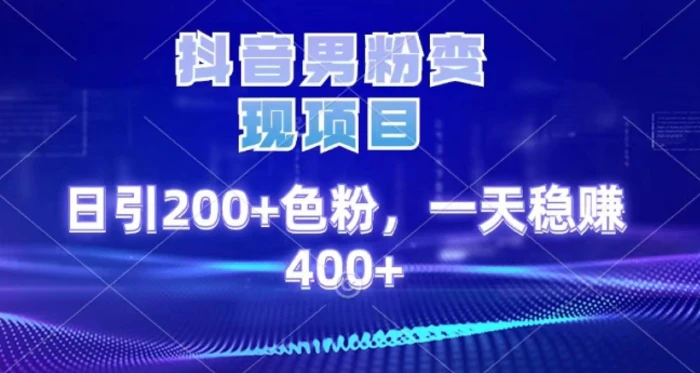 2025最新男粉项目 日引200 轻松月入2w+-万图副业网