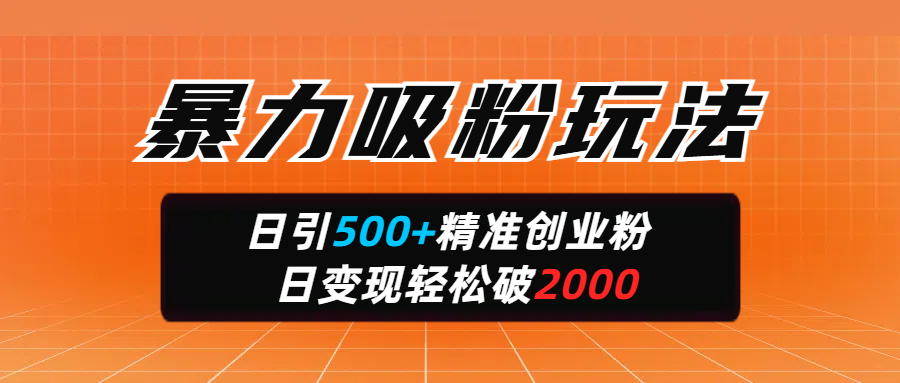 暴力吸粉玩法，日引500+精准创业粉，日变现轻松破2000-万图副业网