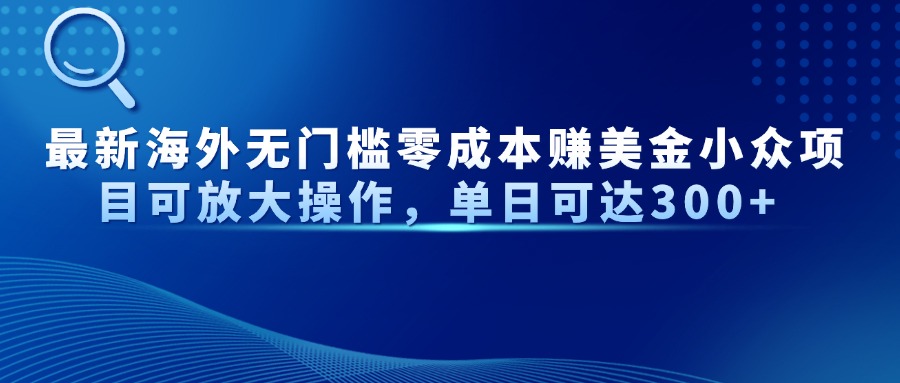 最新海外无门槛美金小众项目可放大操作，单日可达300+-万图副业网