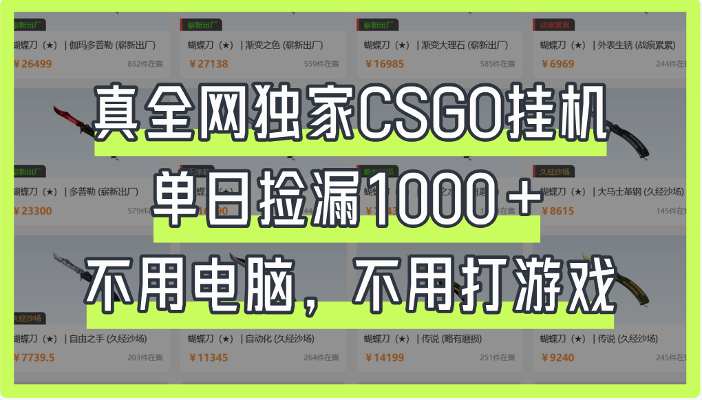 真全网独家CSGO挂机，单日捡漏1000+-万图副业网