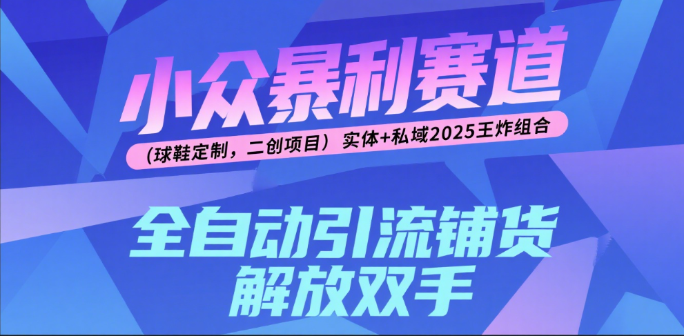楠—小众暴利赛道（球鞋定制，二创项目）实体+私域2025王炸组合-万图副业网