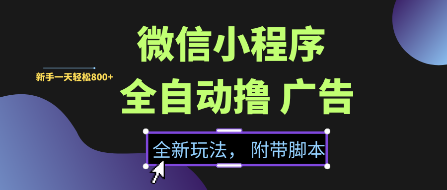 微信小程序挂机撸广告，全新玩法，新手一天轻松800+【附带脚本】-万图副业网