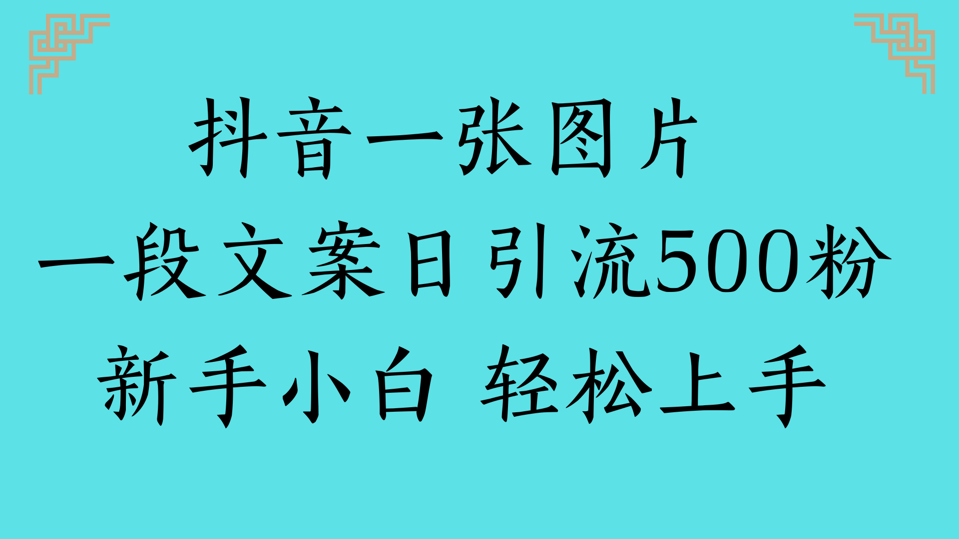 抖音一张图片 一段文案日引流500粉新手小白 轻松上手-万图副业网