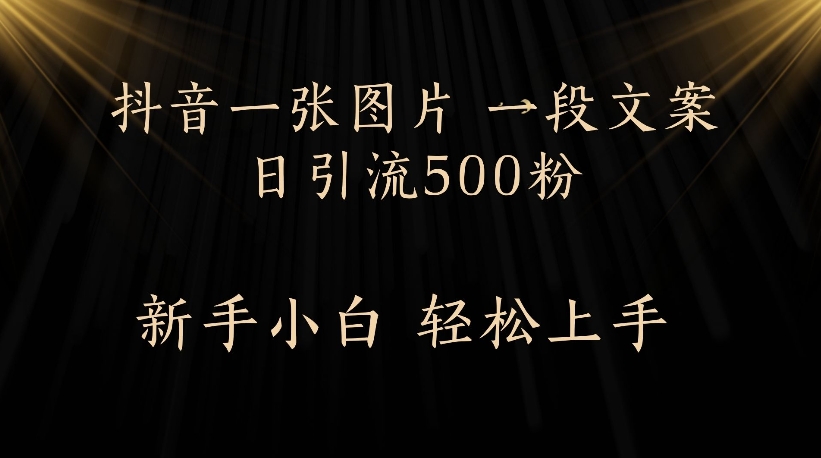 抖音一张图片，一段文案日引流500粉，新手小白 轻松上手-万图副业网