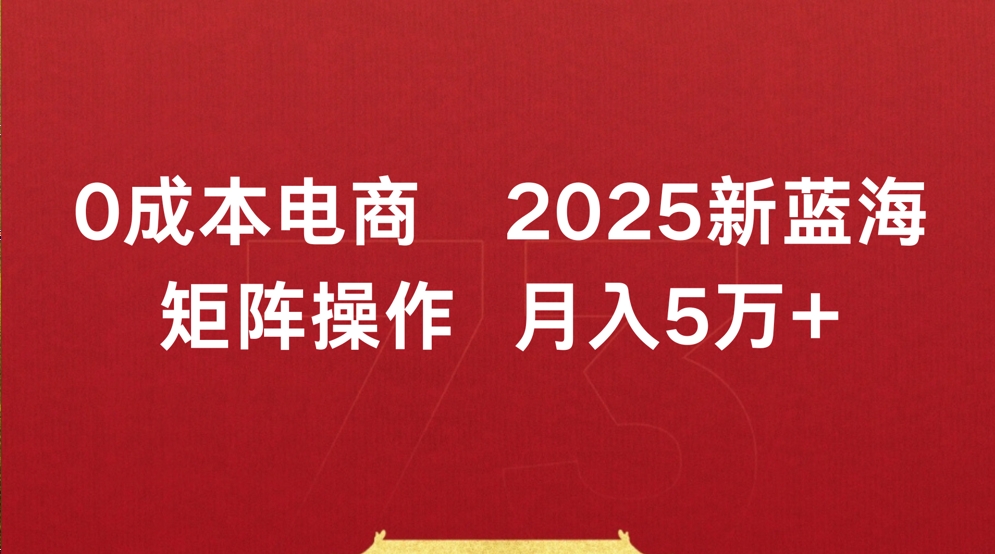 0成本电商2025新蓝海矩阵操作 月入5万+-万图副业网