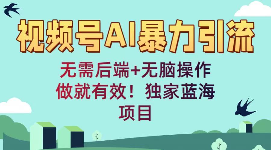 视频号AI暴力引流：无需后端+无脑操作，做就有效！独家蓝海项目-万图副业网