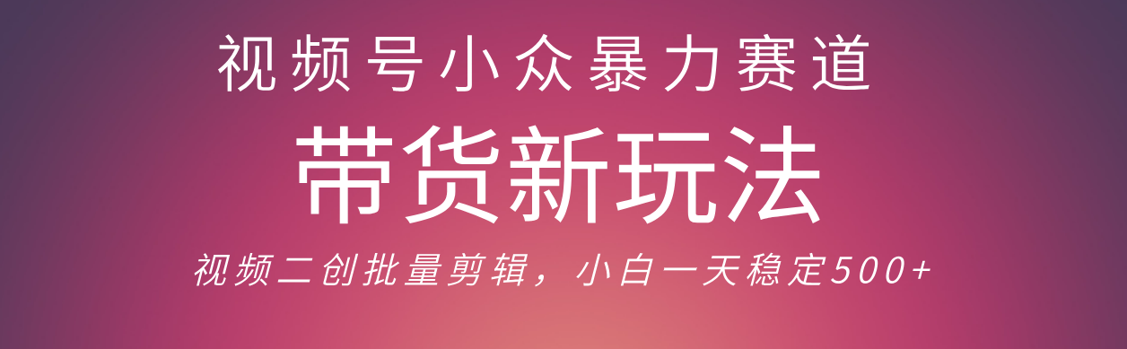 视频号小众暴力赛道，最新带货玩法 小白也能轻松日入500+ 保姆及教程-万图副业网