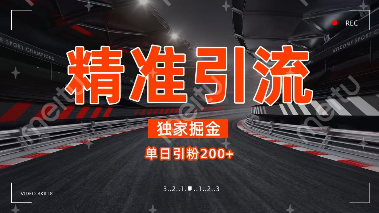 独家野路子精准引流 每日200+-万图副业网