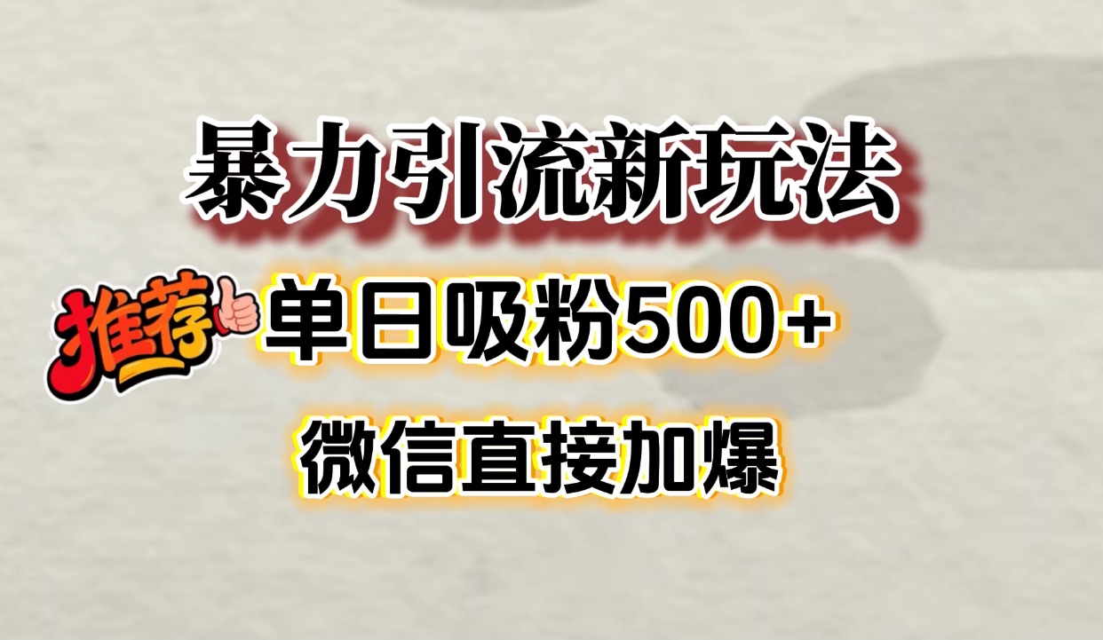 微信加爆的引流超级方法，单日吸粉500➕-万图副业网