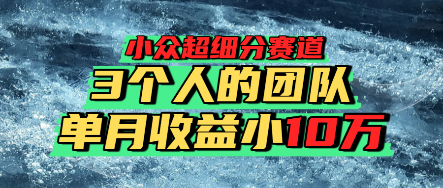 小众超细分赛道，一年百万利润的盘子！-万图副业网