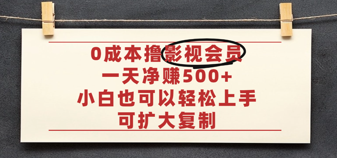 亲测,0成本可批量操作,靠卖影视会员实测月入30000+-万图副业网