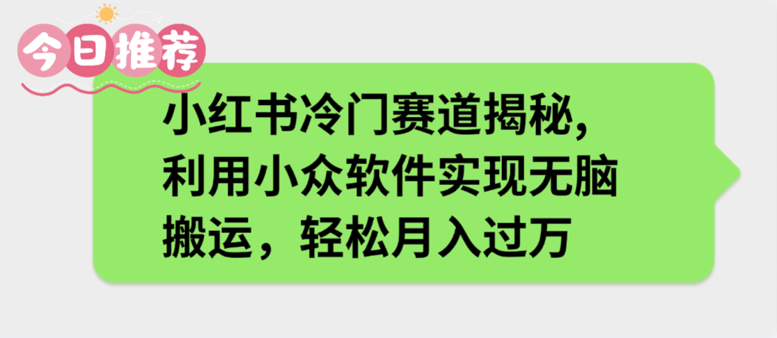 小红书冷门赛道揭秘,利用小众软件实现无脑搬运，轻松月入过万-万图副业网